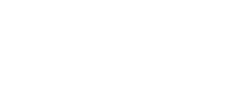 Álnir Inner Wisdom Coaching & Human-Centered Consulting Alnir logo